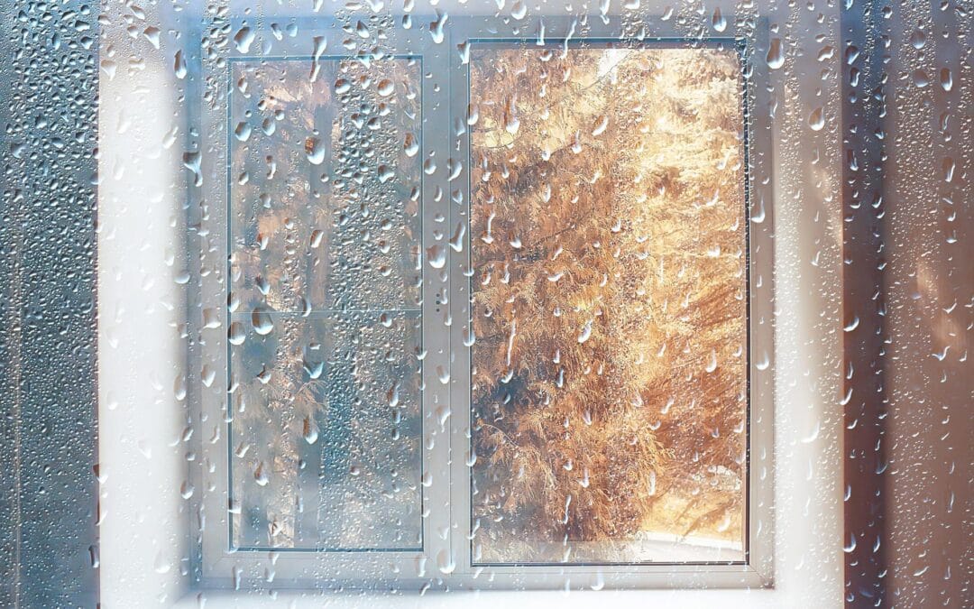 Condensation sur le double vitrage de véranda : Causes et solutions pour un confort optimal