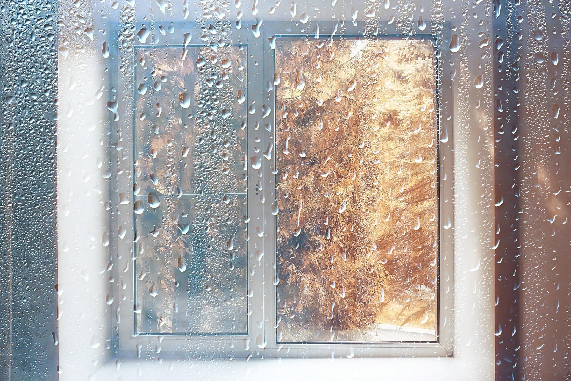 Condensation double vitrage véranda Causes et solutions — free download